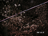 s_PICT0008_thumb.png